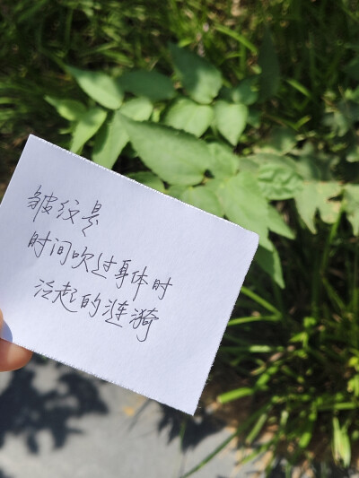 大自然就是最好的滤镜