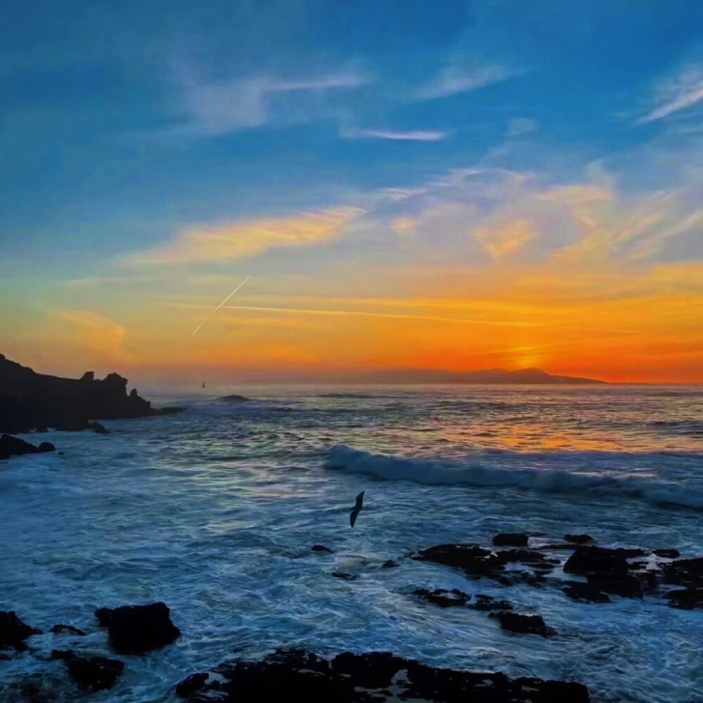 ： 听说 蝴蝶流的眼泪是白色的
