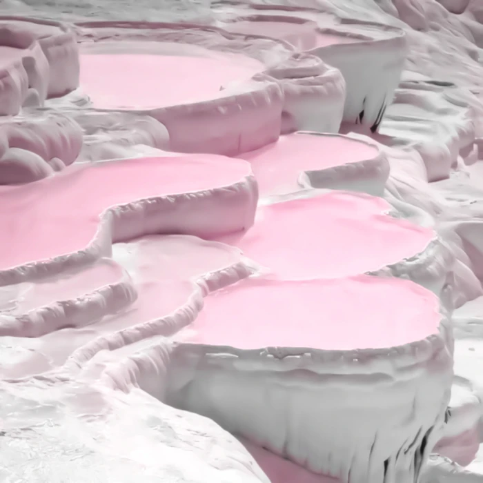 萌物中的萌物 萌物中的统治者 萌物之主 萌物的终结者 萌王 萌师 萌神 压倒性萌物 萌物史上永垂不朽的巅峰