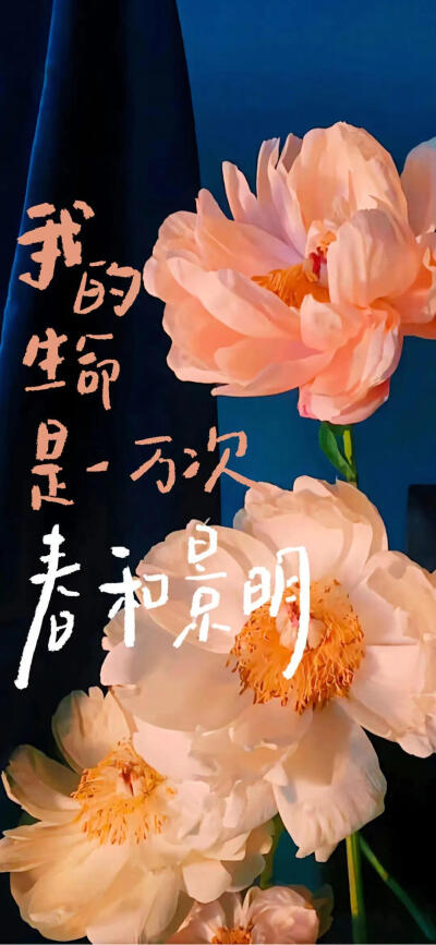 氛围感壁纸