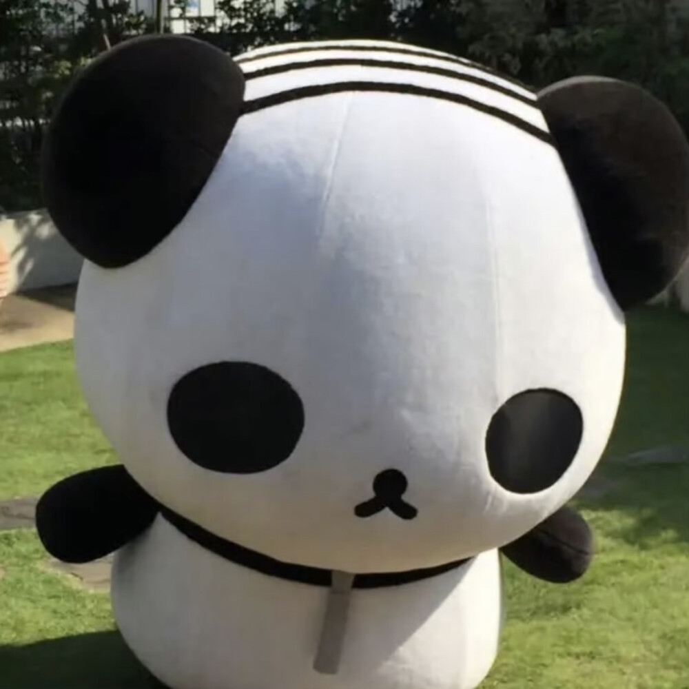 (⌒▽⌒)
