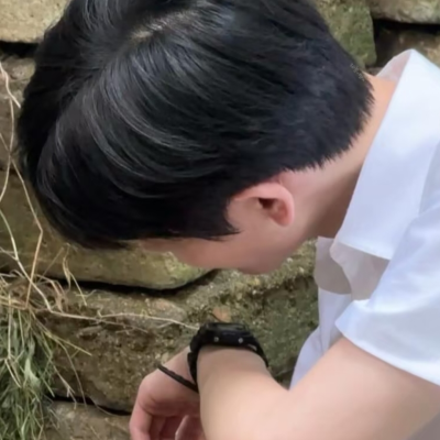 张凌赫