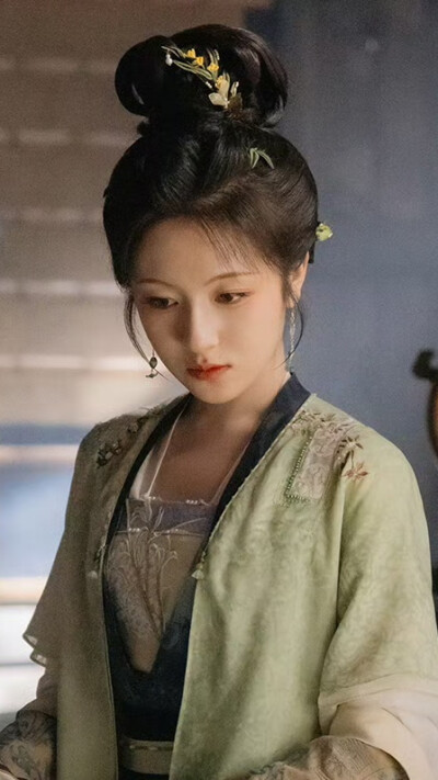 朝雪录 秦莞 李兰迪