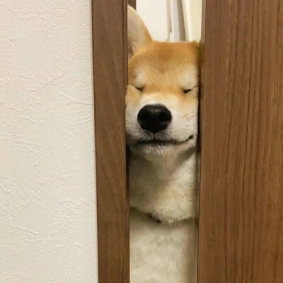 搞怪情头