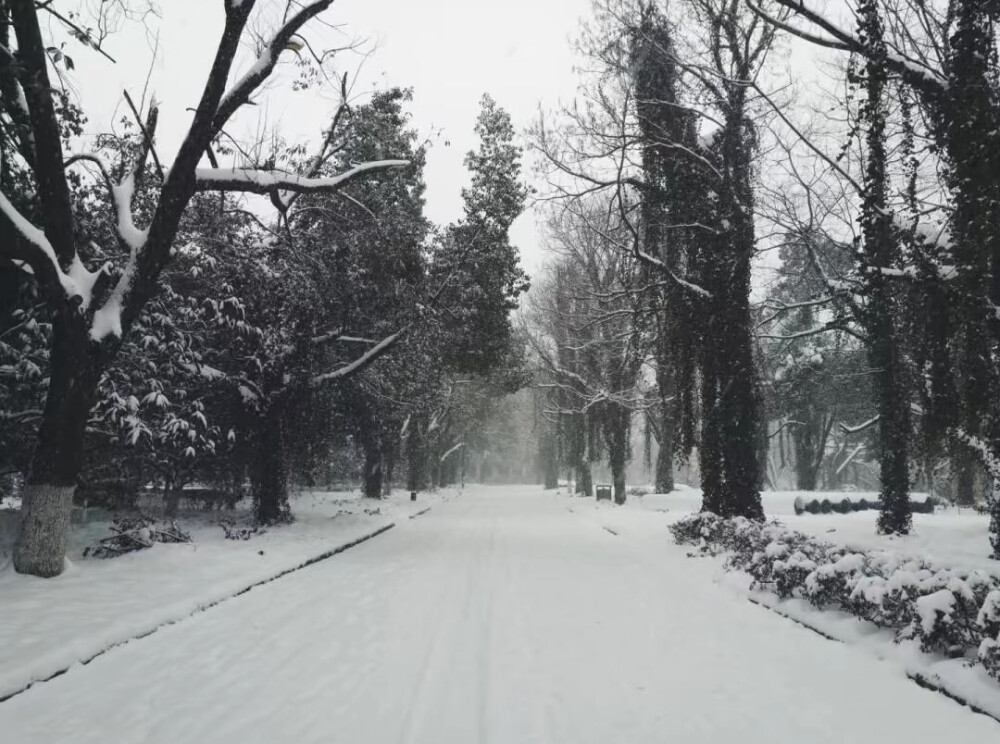 幸福和痛苦都是生命中难得的礼物