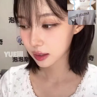 碎花小狗