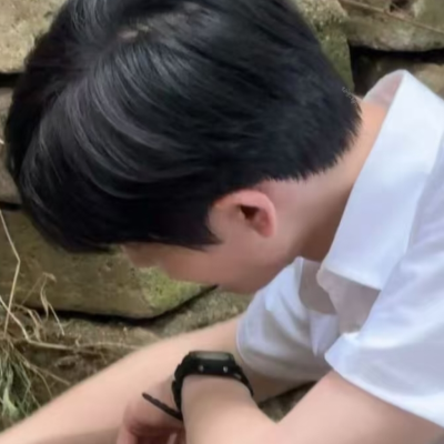 张凌赫