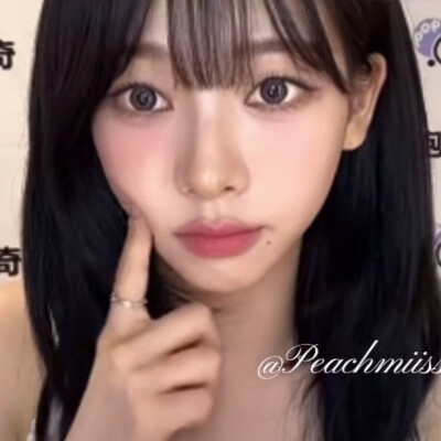 借来的猫猫蛇