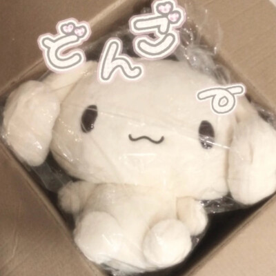 (⌒▽⌒)
