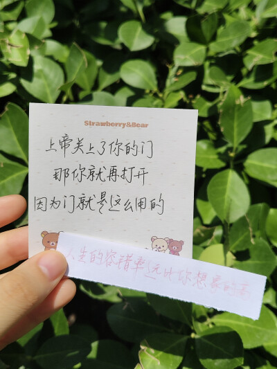 大自然就是最好的滤镜