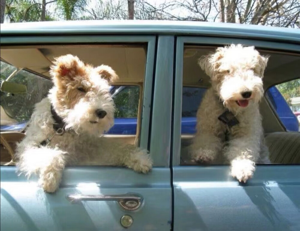 幸福和痛苦都是生命中难得的礼物