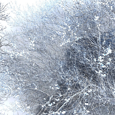 
萌物中的萌物 萌物中的统治者 萌物之主 萌物的终结者 萌王 萌师 萌神 压倒性萌物 萌物史上永垂不朽的巅峰