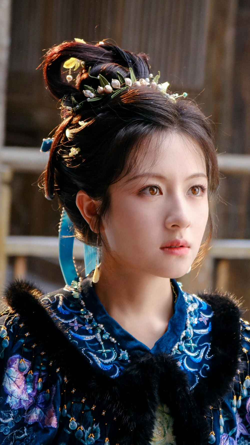 朝雪录 秦莞 李兰迪