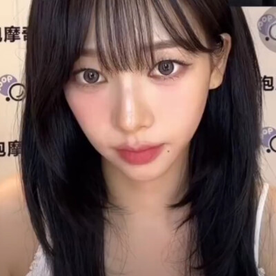 借来的猫猫蛇