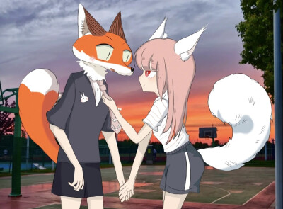 废材狐阿桔 小汤阿桔 头像 壁纸 背景图 来源于小红薯@汤小葵.