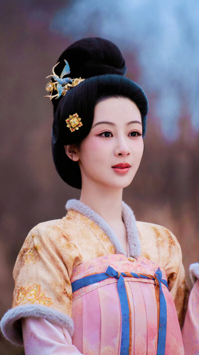 锦绣芳华
