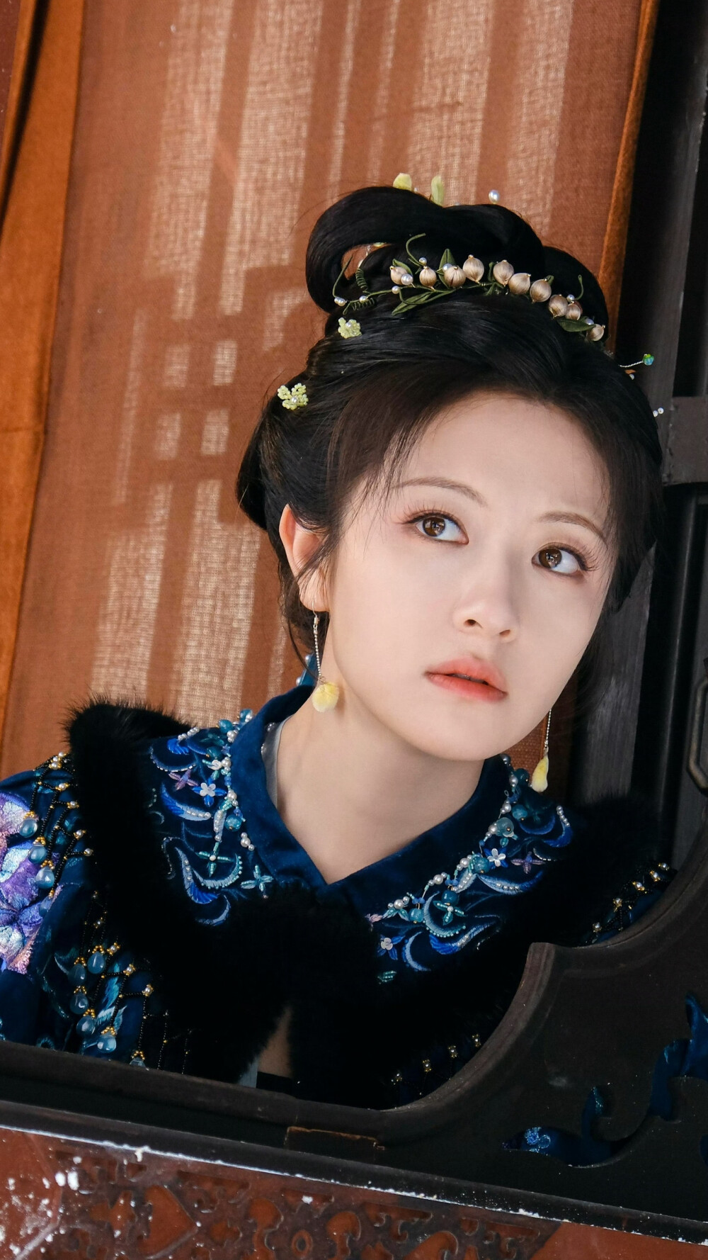 朝雪录 秦莞 李兰迪