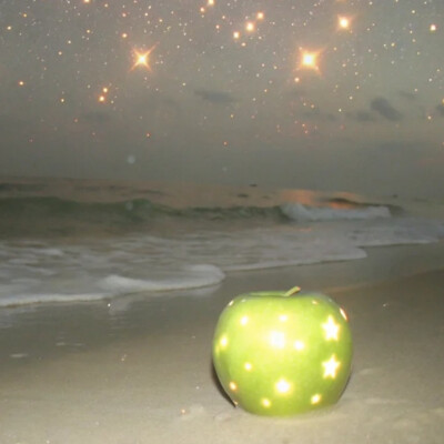 背景图 persimmon.lion