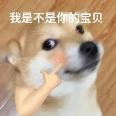怎