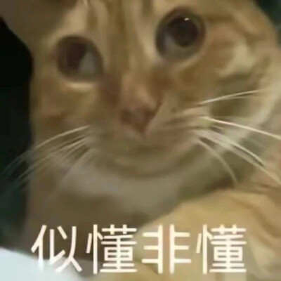 怎