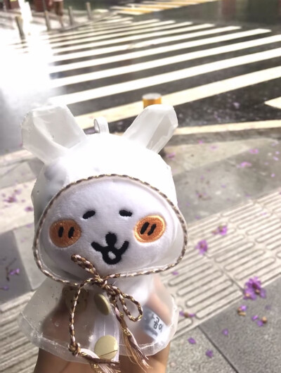 来自熊的LOVE ੭✧！