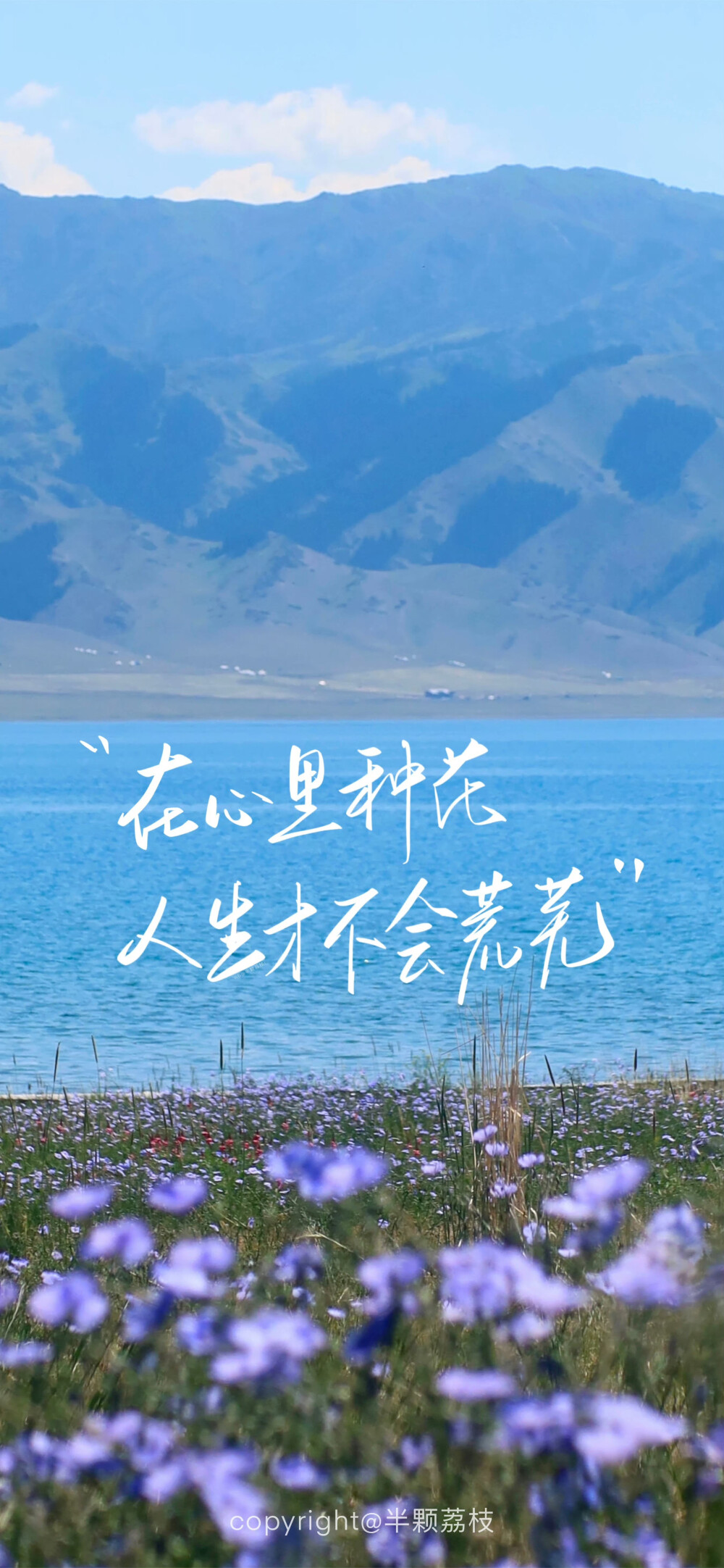 文字壁纸/
cr.@半颗荔枝i