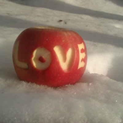 背景图 persimmon.lion