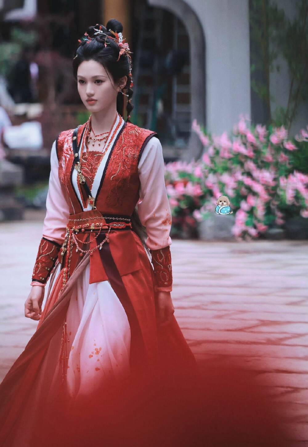 沈羽洁