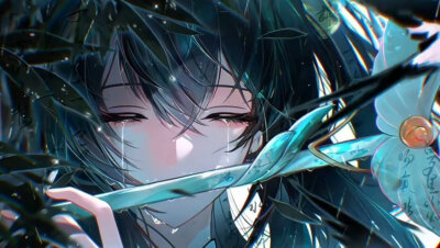公孙离