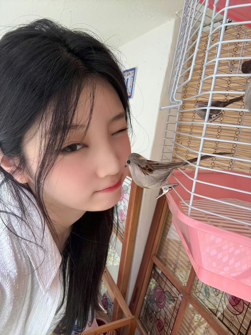 ILLIT wonhee李沅禧