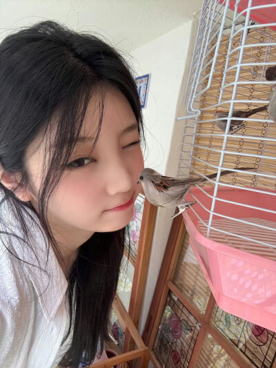 ILLIT wonhee李沅禧