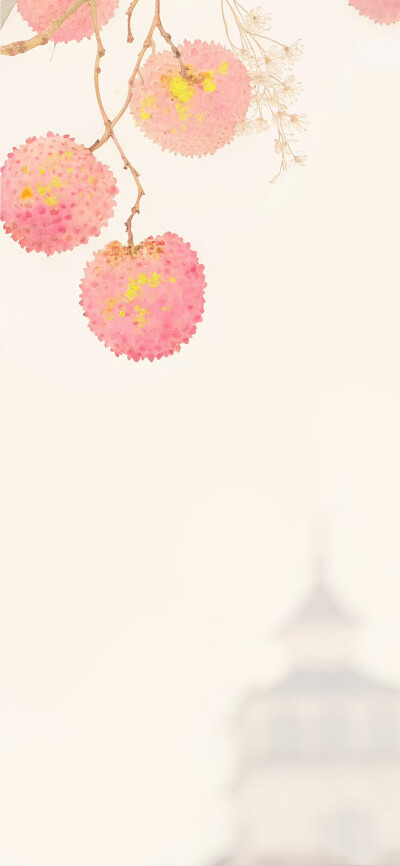 壁纸