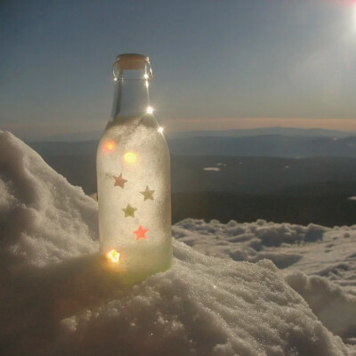 背景图 persimmon.lion