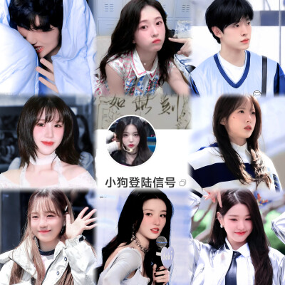 P1:远山悲歌
P:2:星眠旷野
P3:小狗登陆信号