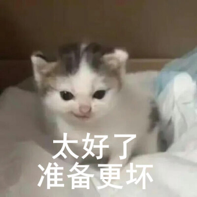 表情包