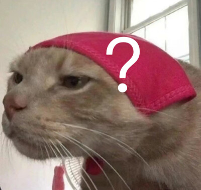 怎