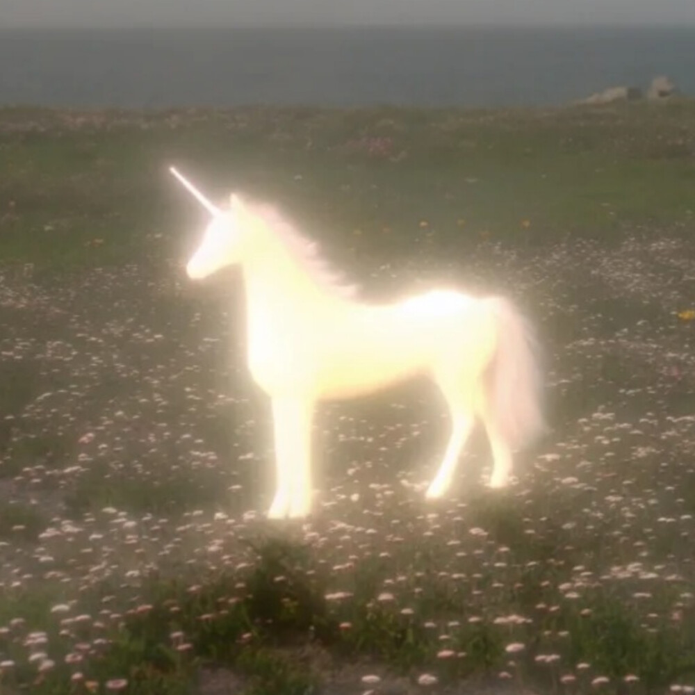 背景图 persimmon.lion