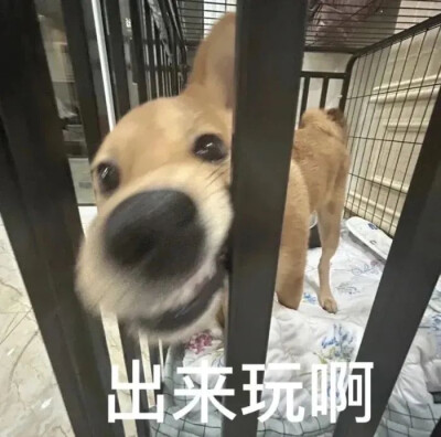 怎