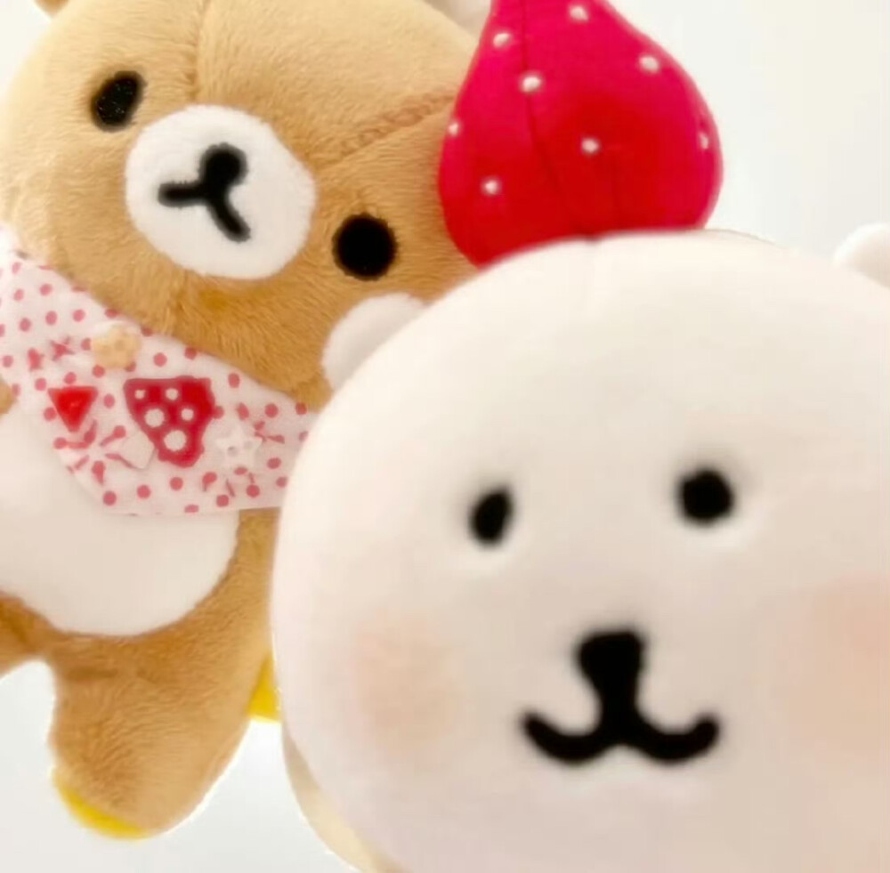 自嘲熊 轻松熊 情侣头像 情头