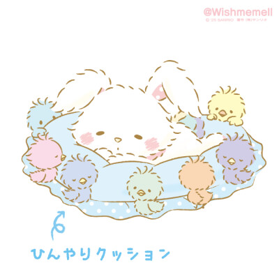 许愿兔