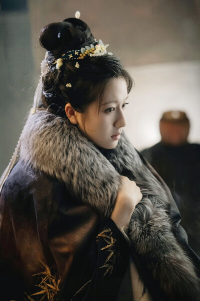 朝雪录 秦莞