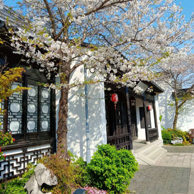 小众背景图