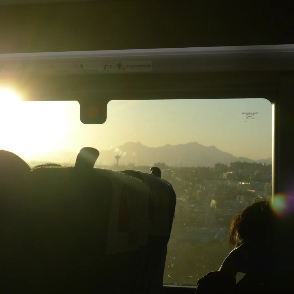 背景图 persimmon.lion