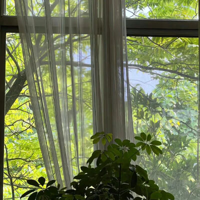 背景图