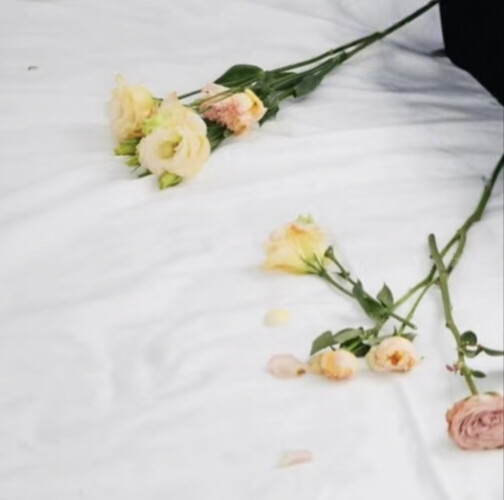 梓渝套图可二改