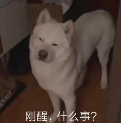 怎