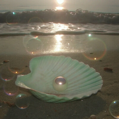 背景图 persimmon.lion