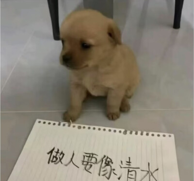.