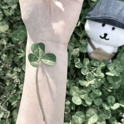 我生命里有磅礴的绿，终成哗然的春。