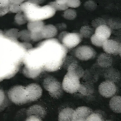 你这种蝼蚁，连做我对手的资格都没有.
（너 같은 하찮은 건 내 상대도 안 돼.）
金艺琳✘白济娜